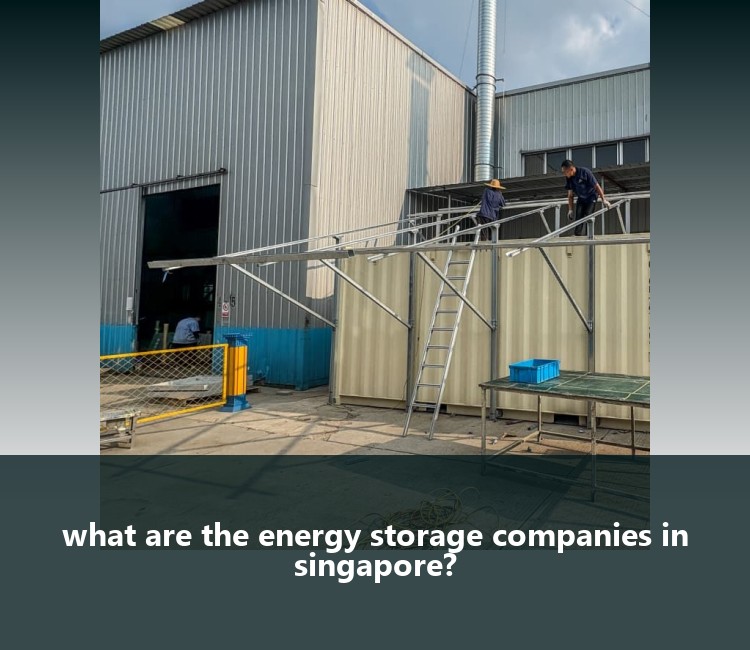 what are the energy storage companies in singapore?