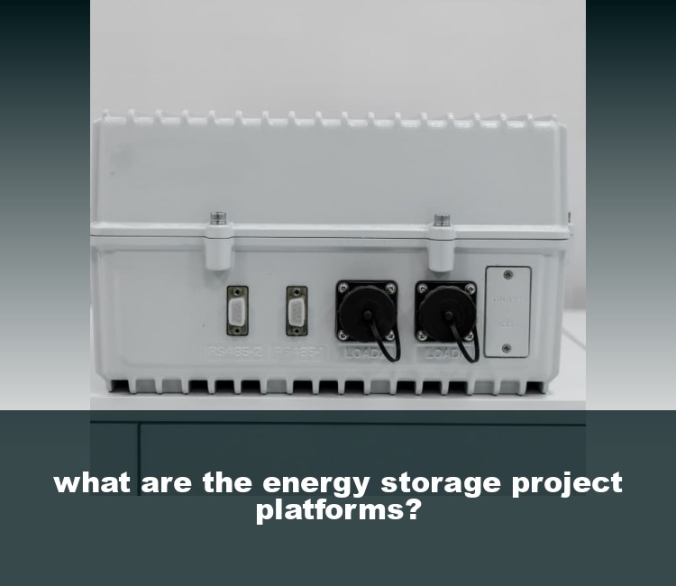 what are the energy storage project platforms?