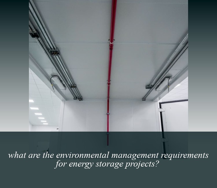 what are the environmental management requirements for energy storage projects?