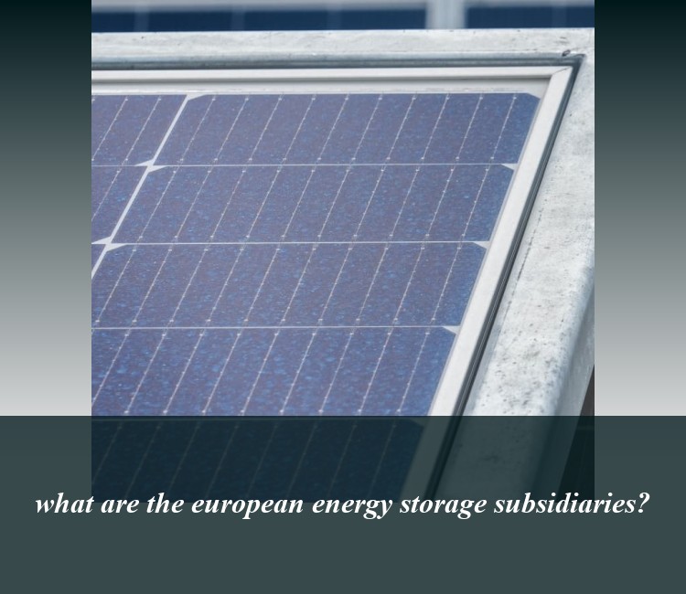 what are the european energy storage subsidiaries?