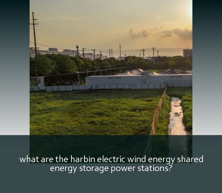 what are the harbin electric wind energy shared energy storage power stations?