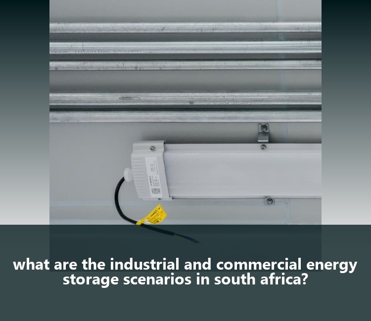 what are the industrial and commercial energy storage scenarios in south africa?