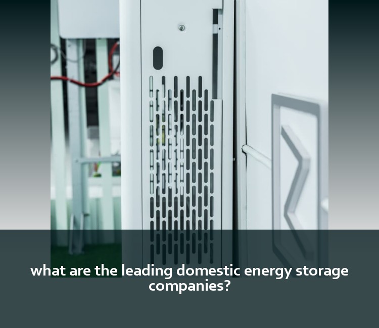 what are the leading domestic energy storage companies?