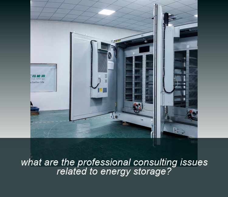 what are the professional consulting issues related to energy storage?
