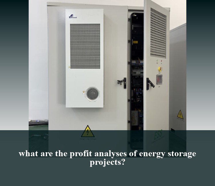 what are the profit analyses of energy storage projects?