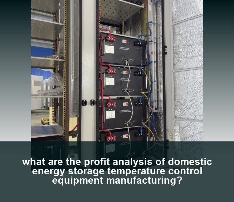 what are the profit analysis of domestic energy storage temperature control equipment manufacturing?