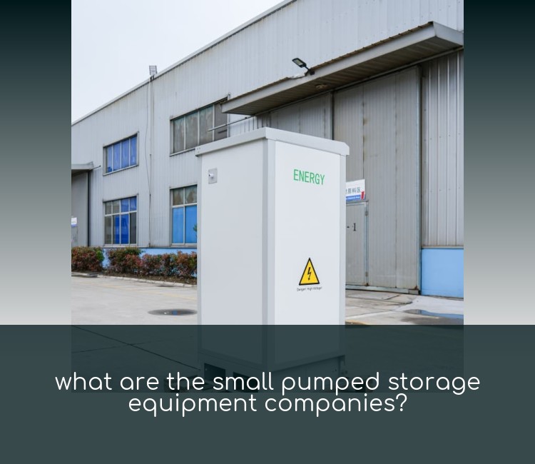 what are the small pumped storage equipment companies?