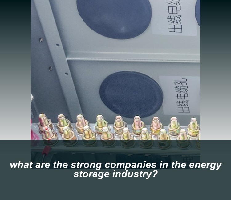 what are the strong companies in the energy storage industry?