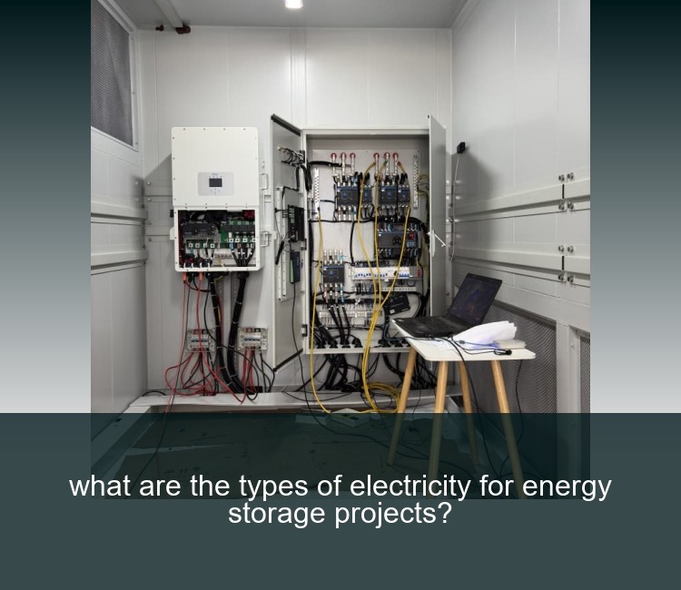 what are the types of electricity for energy storage projects?
