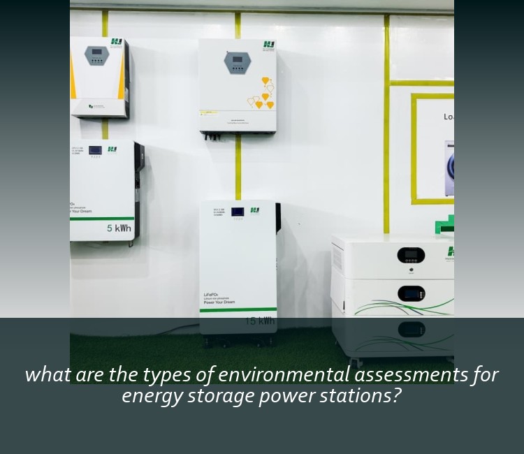what are the types of environmental assessments for energy storage power stations?