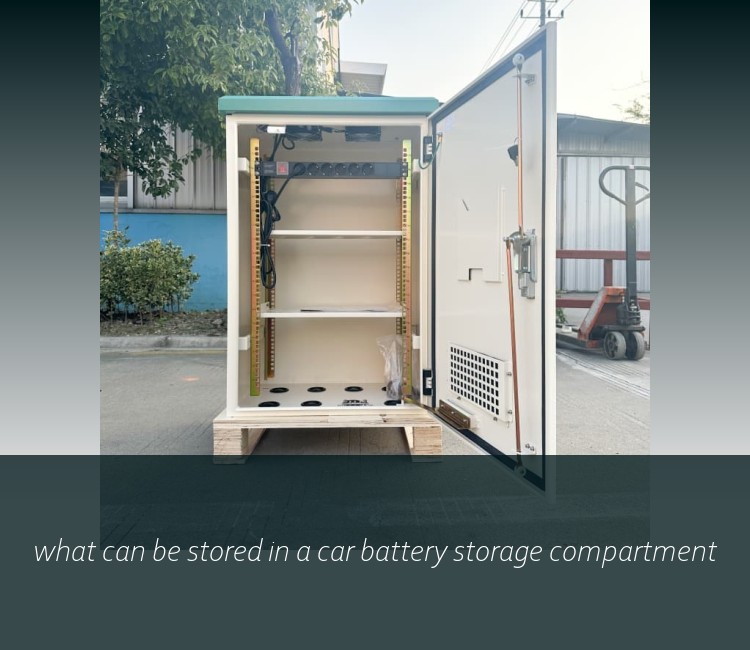 what can be stored in a car battery storage compartment