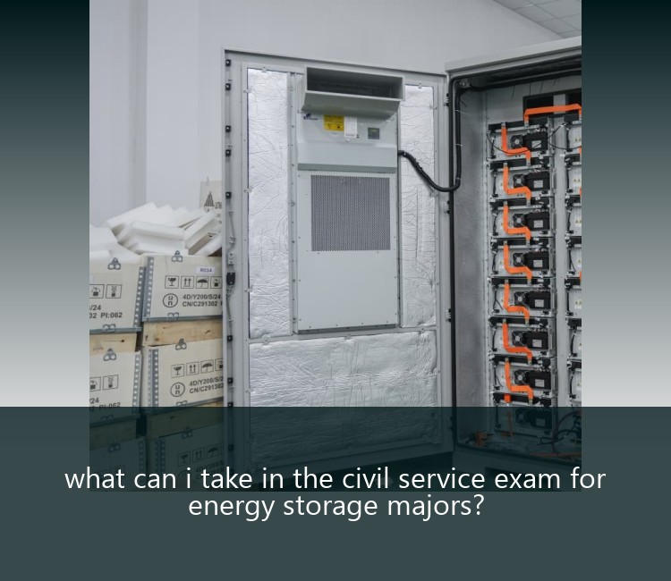 what can i take in the civil service exam for energy storage majors?