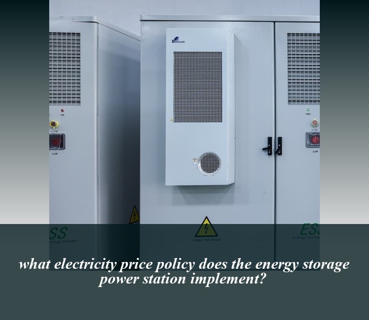 what electricity price policy does the energy storage power station implement?