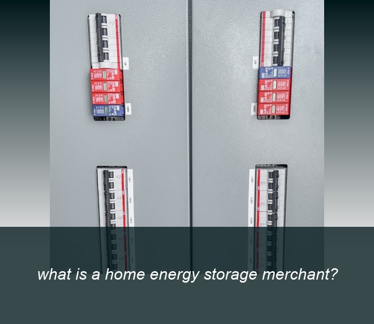 what is a home energy storage merchant?