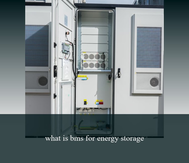 what is bms for energy storage