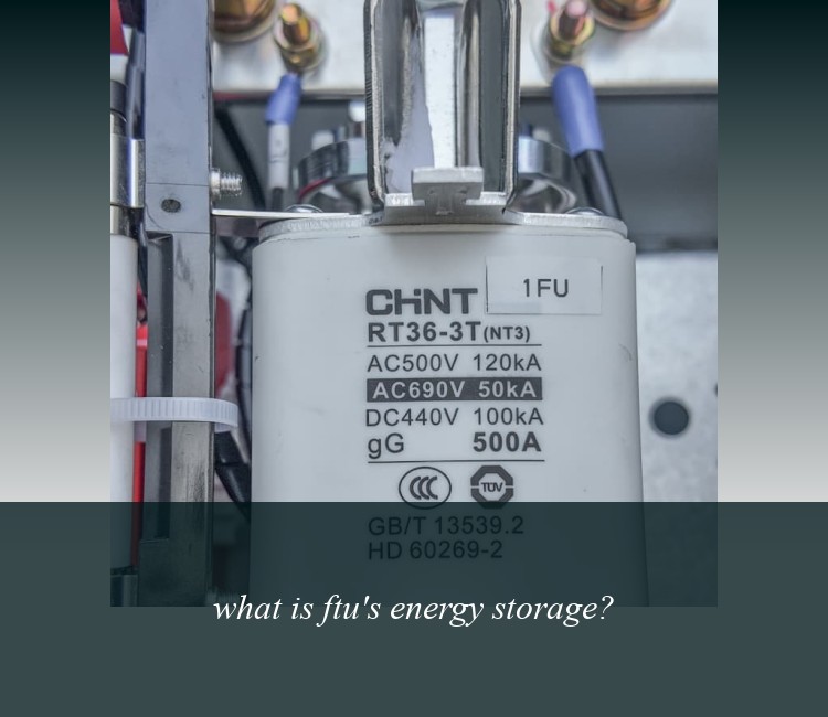 what is ftu's energy storage?