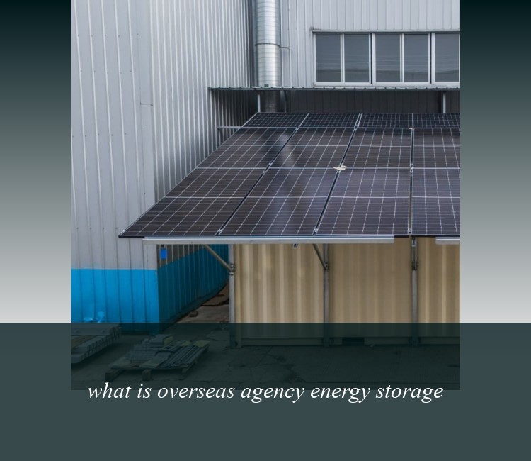what is overseas agency energy storage