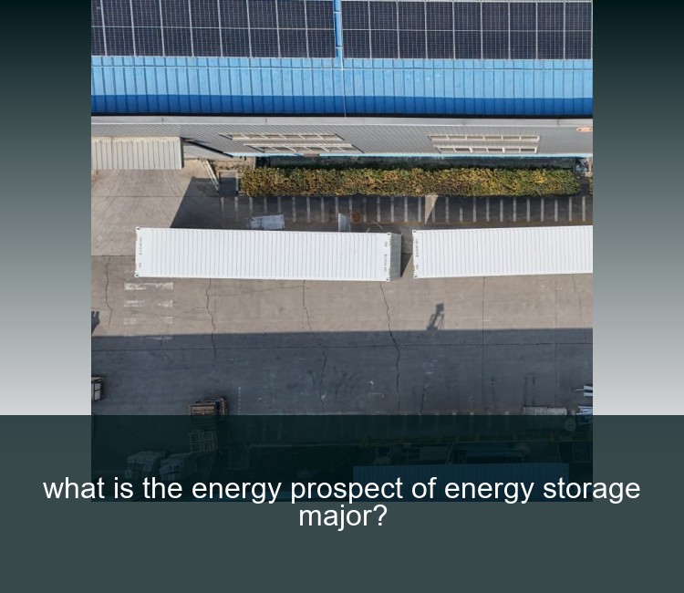 what is the energy prospect of energy storage major?