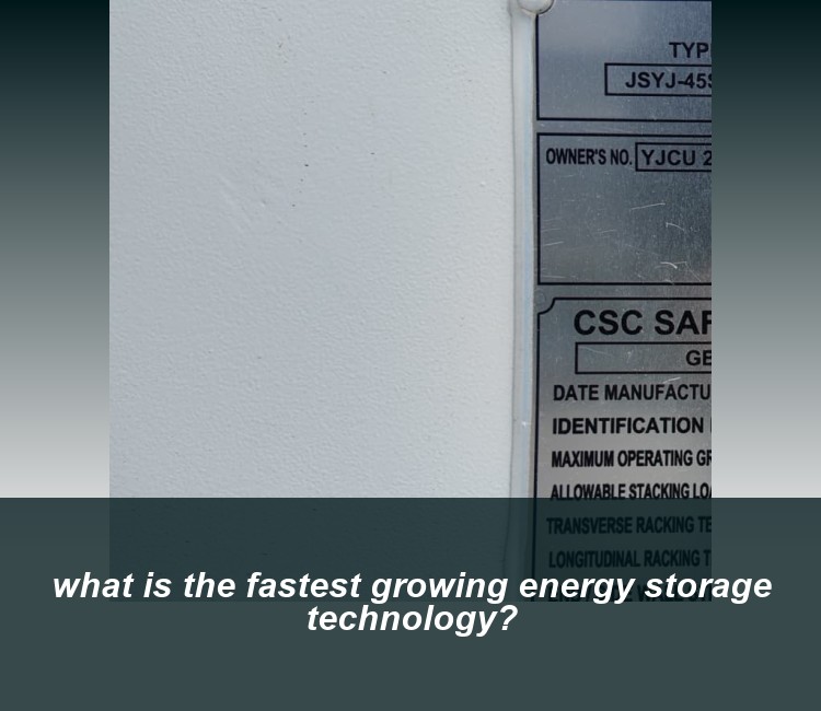 what is the fastest growing energy storage technology?
