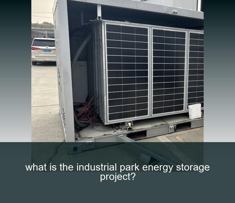 what is the industrial park energy storage project?