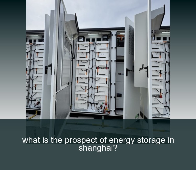 what is the prospect of energy storage in shanghai?