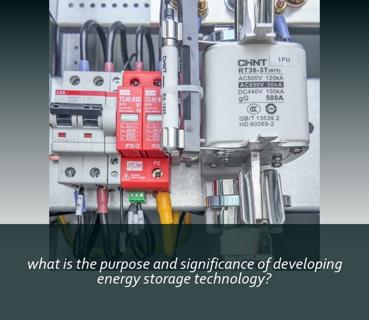 what is the purpose and significance of developing energy storage technology?