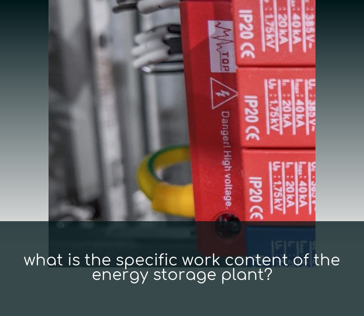 what is the specific work content of the energy storage plant?