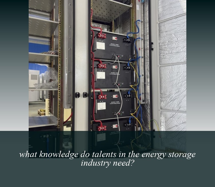 what knowledge do talents in the energy storage industry need?