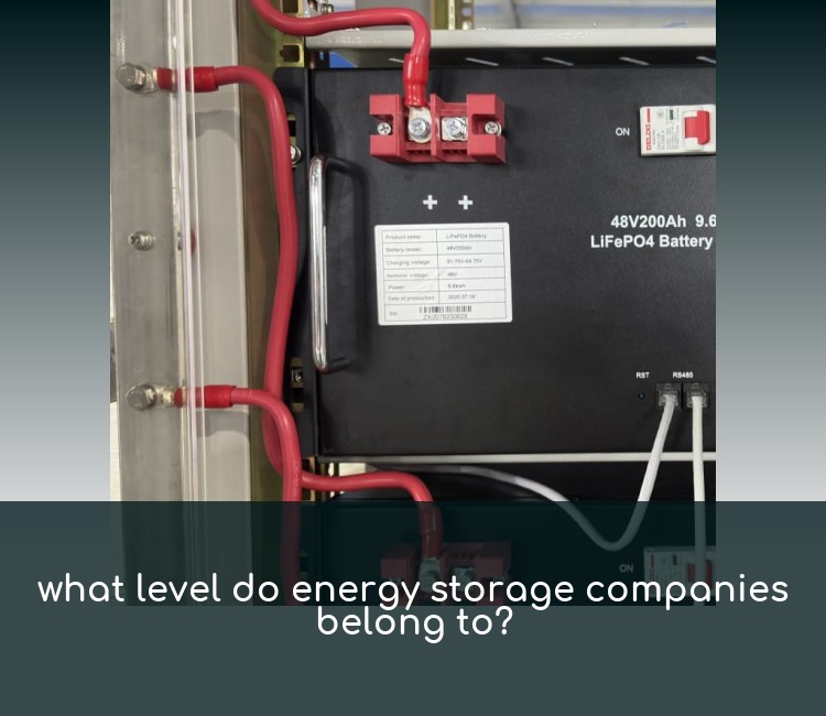 what level do energy storage companies belong to?