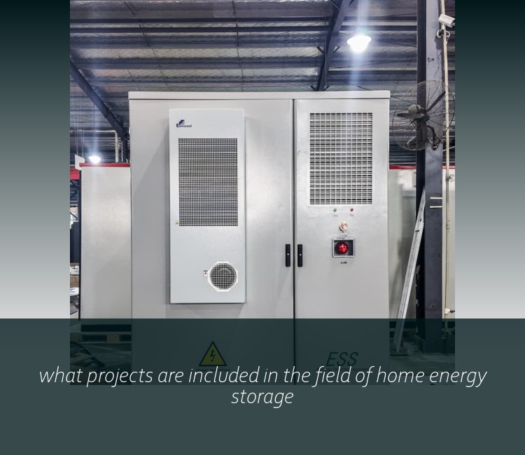 what projects are included in the field of home energy storage