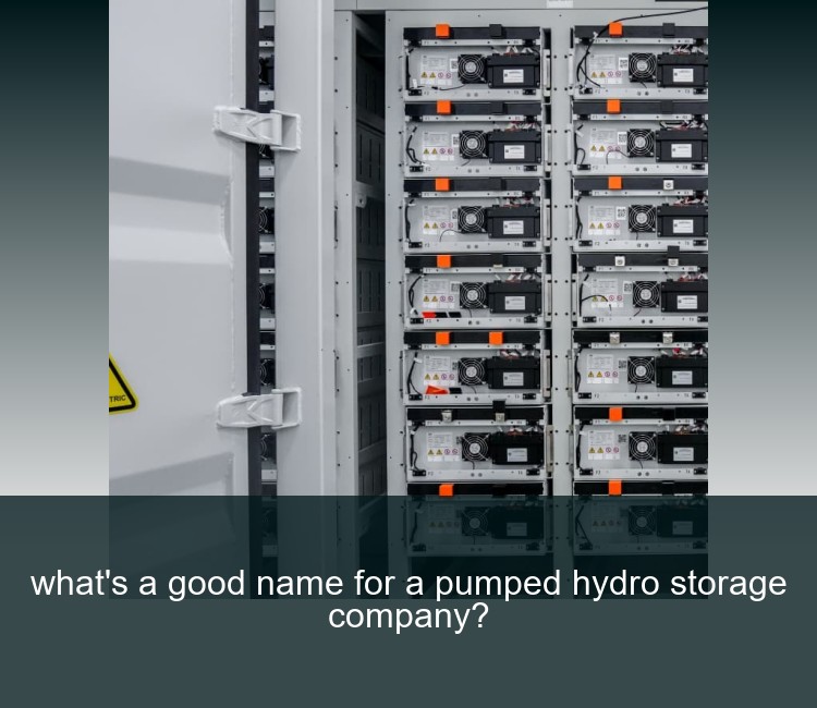what's a good name for a pumped hydro storage company?