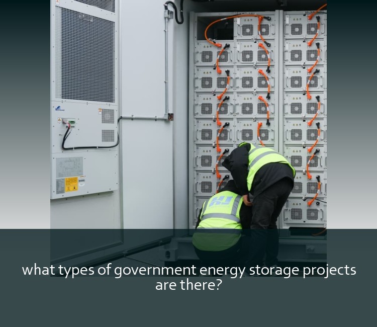 what types of government energy storage projects are there?