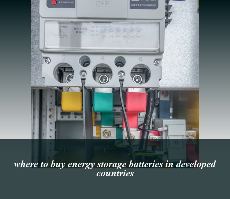 where to buy energy storage batteries in developed countries
