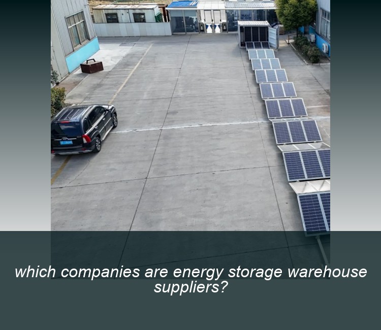 which companies are energy storage warehouse suppliers?