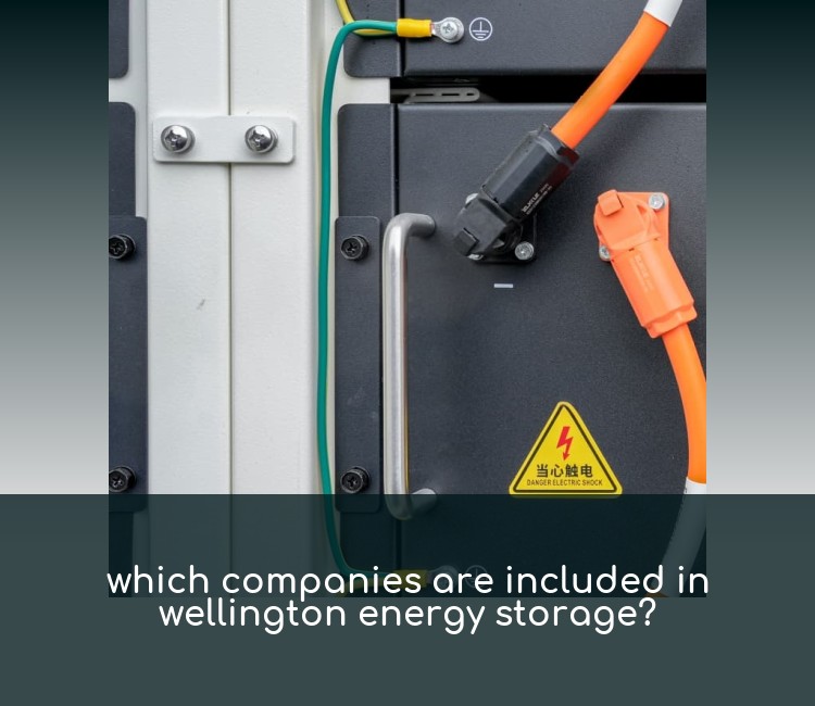 which companies are included in wellington energy storage?