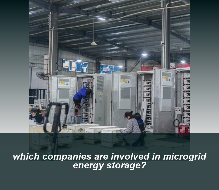 which companies are involved in microgrid energy storage?