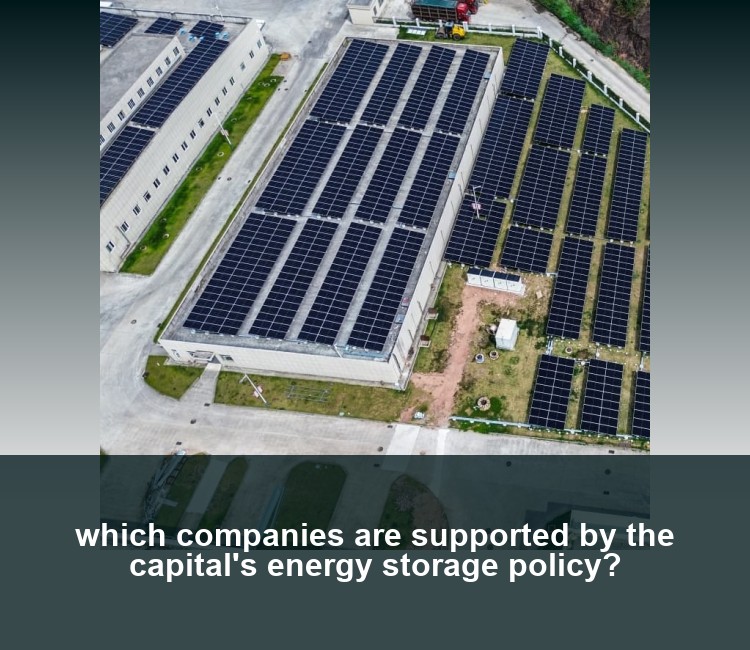 which companies are supported by the capital's energy storage policy?