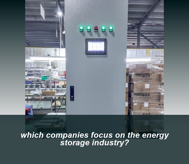 which companies focus on the energy storage industry?