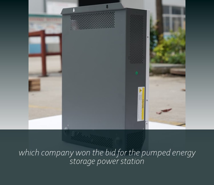 which company won the bid for the pumped energy storage power station