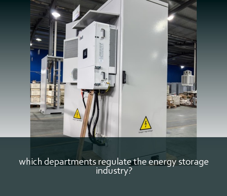 which departments regulate the energy storage industry?