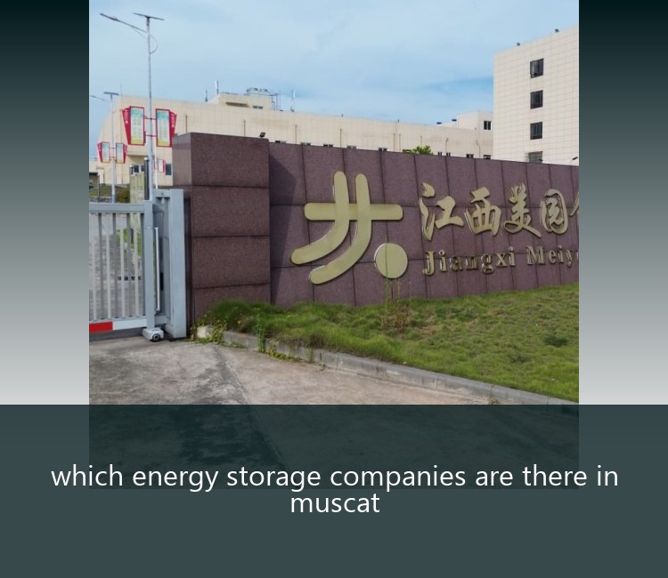 which energy storage companies are there in muscat