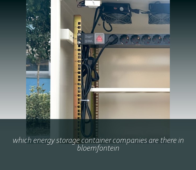 which energy storage container companies are there in bloemfontein