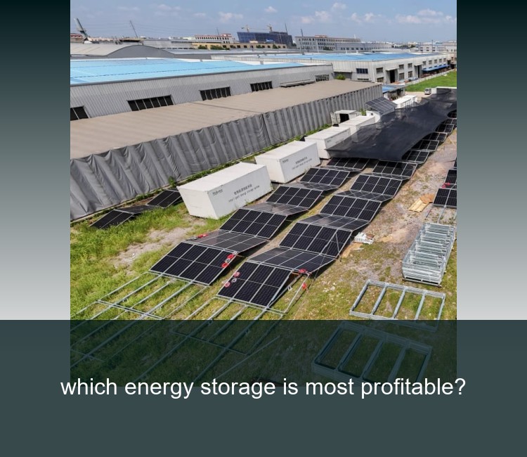 which energy storage is most profitable?
