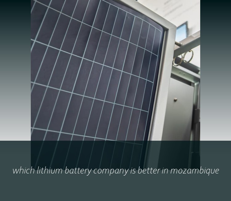 which lithium battery company is better in mozambique