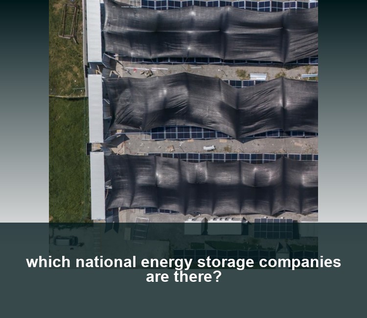 which national energy storage companies are there?