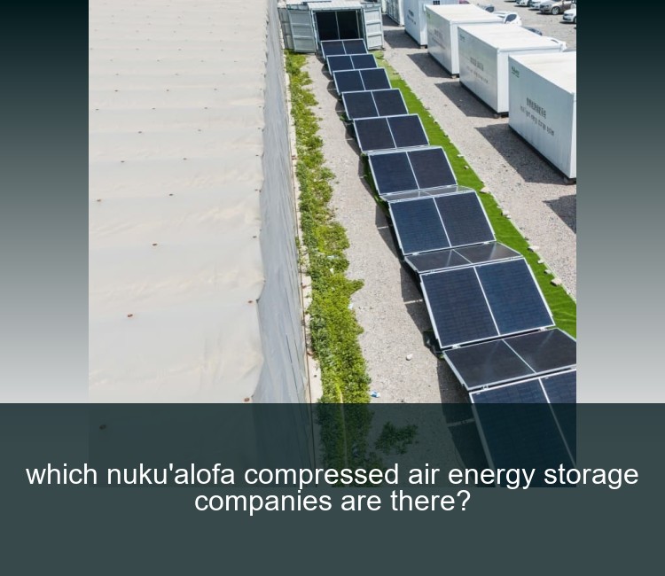 which nuku'alofa compressed air energy storage companies are there?