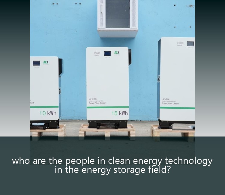 who are the people in clean energy technology in the energy storage field?