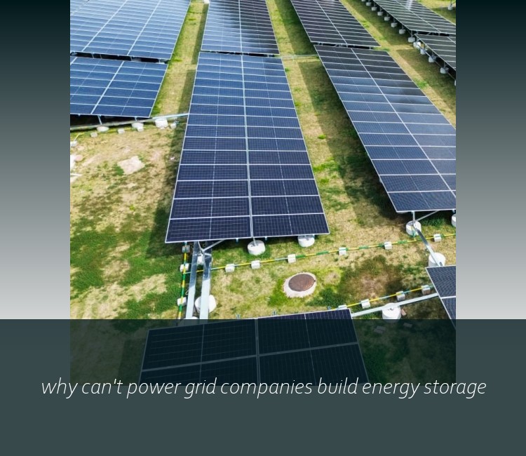 why can't power grid companies build energy storage
