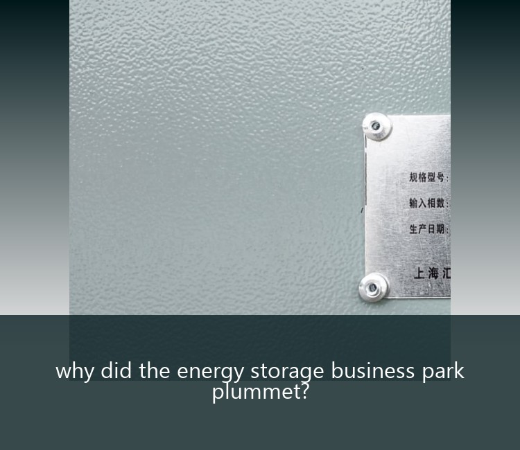why did the energy storage business park plummet?