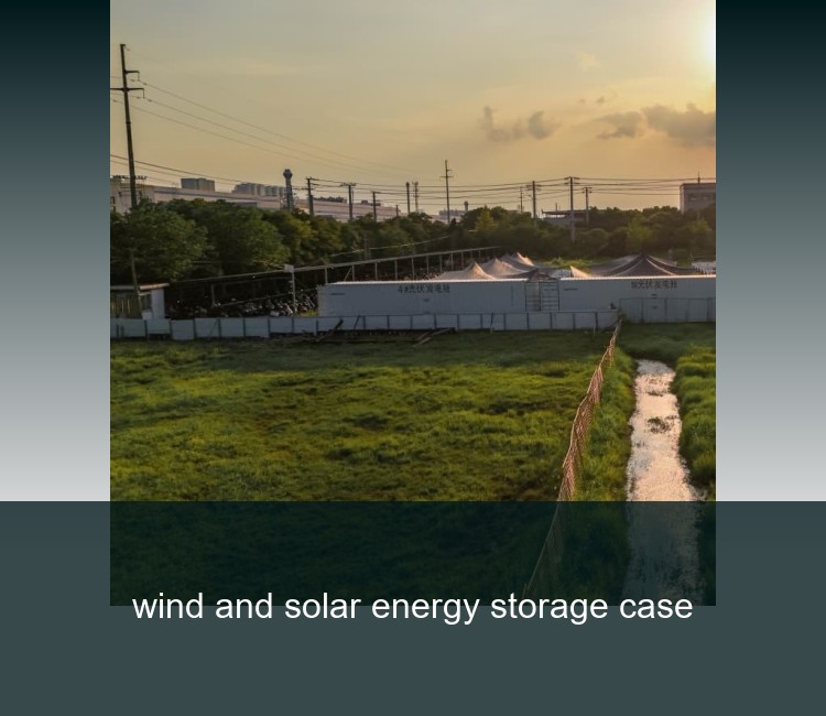 wind and solar energy storage case